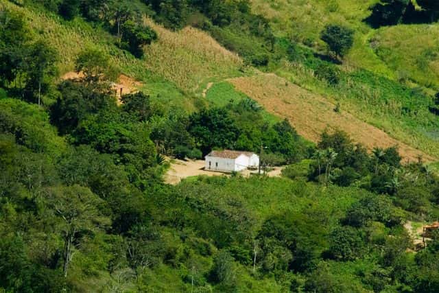 Sucesión Agraria en Morelos: ¿Qué pasa cuando muere un Ejidatario o Comunero?